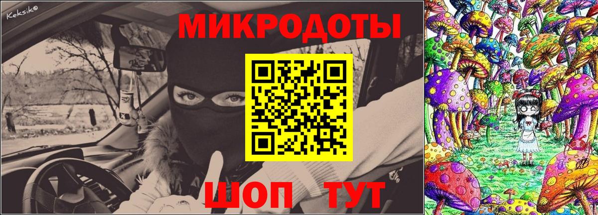 Галлюциногенные грибы Psilocybe Удомля