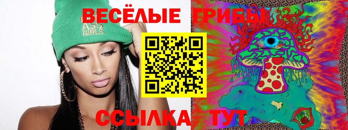 Удомля  Псилоцибиновые грибы Cubensis  Вход с VPN 